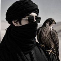 صورة العضو